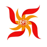 Divine Foundation of India Logo